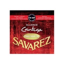 Savarez 510ARP Alliance Cantiga MT