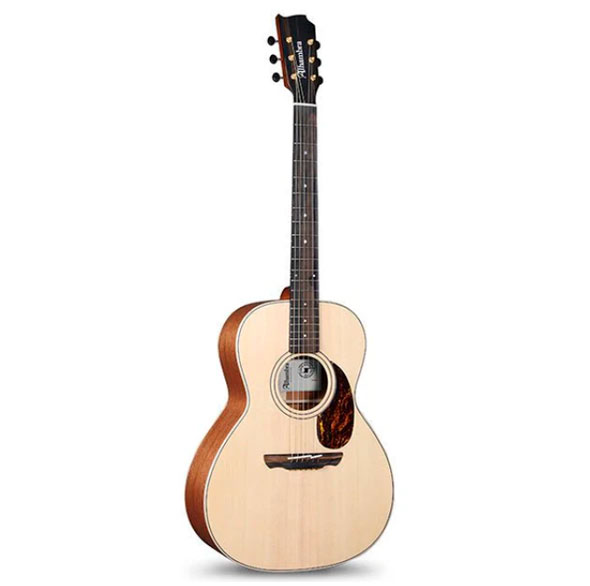 GUITACEALH017_c.jpg
