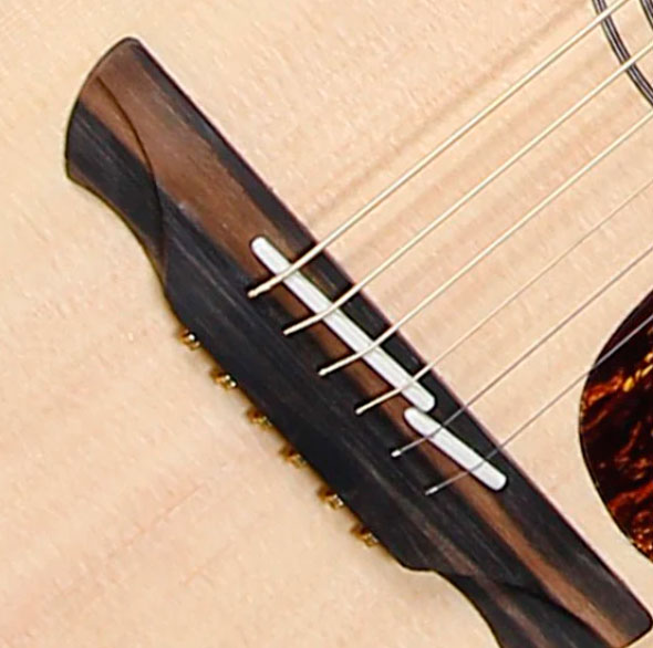GUITACEALH017_e.jpg