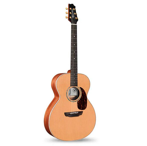 GUITACEALH016_b.jpg