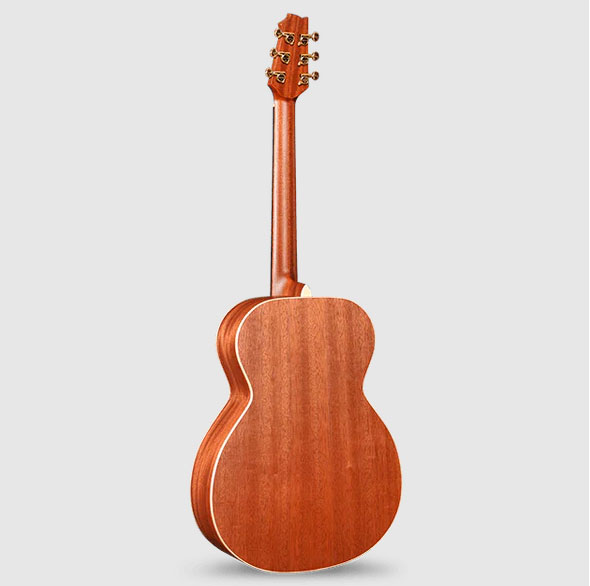 GUITACEALH016_c.jpg