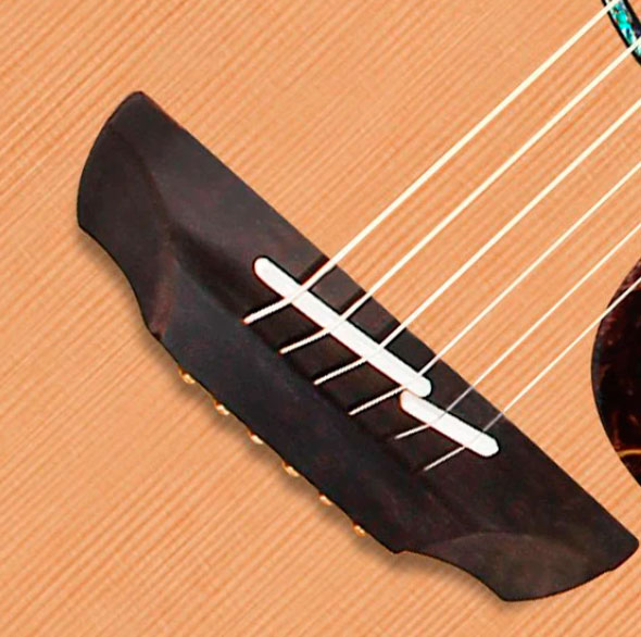 GUITACEALH016_e.jpg