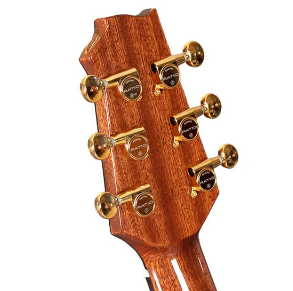 GUITACEALH016_g.jpg