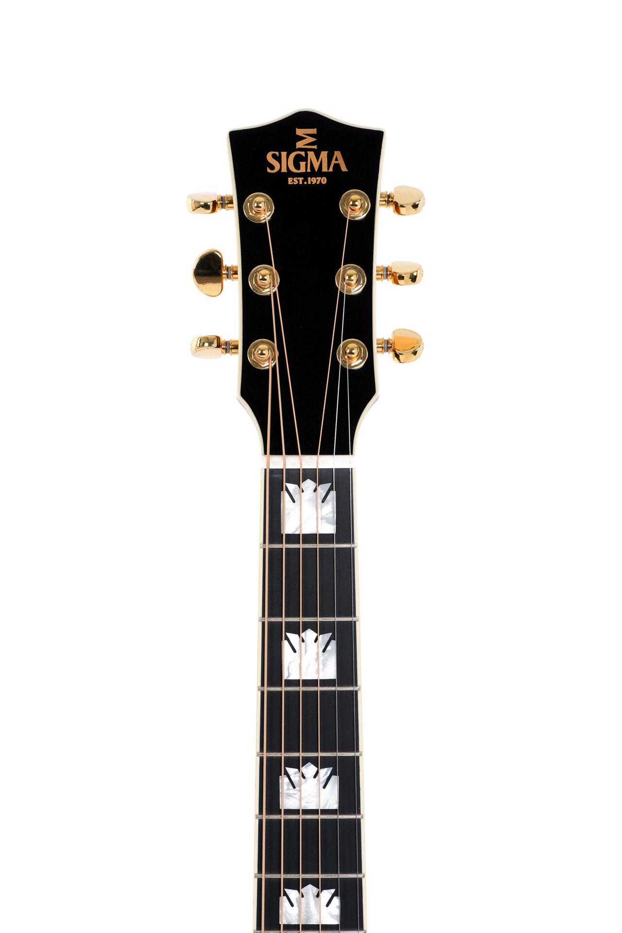 GUITACUSIG287_d.jpg