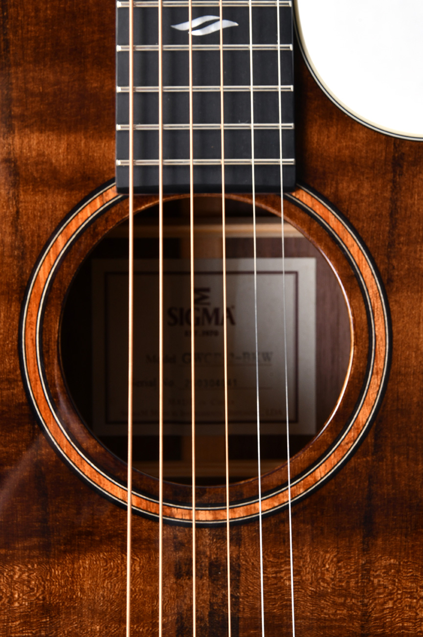 GUITACUSIG386_d.jpg