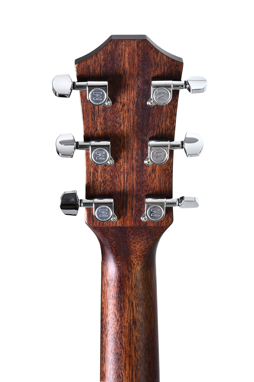 GUITACUSIG386_g.jpg
