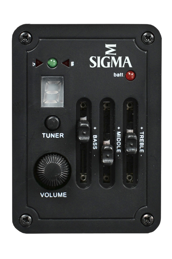 GUITACUSIG387_f.jpg