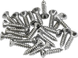 [TORNGUIFEN001] Fender Tornillos Golpeador Chrome (24)