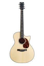 [GUITACUCHV0013] Charlesville CHARL-GAV-SEM Grand Auditorium Cutaway